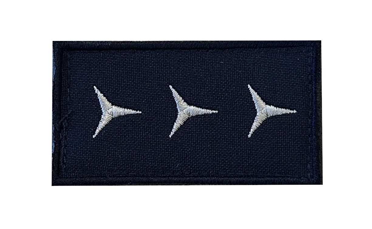 Hodnostní funkční označení členů HZS podniku - 