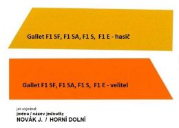 Reflexní polep přilby Gallet F1 S, F1 SA, F1 SF,  F1 E s potiskem