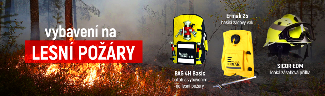 lesní požár 